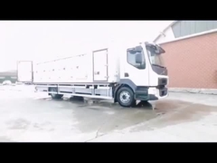 Camionetto frigorifero per gelati in china